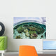 Shallow Coral Reef Thrives Wall Decal Design 5