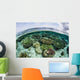 Shallow Coral Reef Thrives Wall Decal Design 5