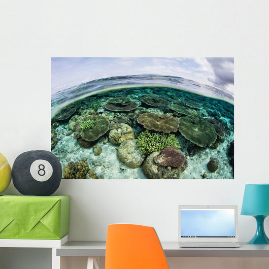 Shallow Coral Reef Thrives Wall Decal Design 5