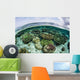 Shallow Coral Reef Thrives Wall Decal Design 5
