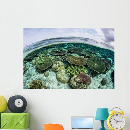 Shallow Coral Reef Thrives Wall Decal Design 5