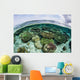 Shallow Coral Reef Thrives Wall Decal Design 5