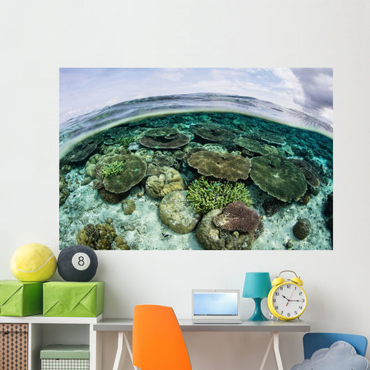 Shallow Coral Reef Thrives Wall Decal Design 5