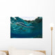 Banded Sea Snake Laticauda Wall Decal Design 1