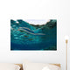 Banded Sea Snake Laticauda Wall Decal Design 1