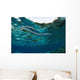 Banded Sea Snake Laticauda Wall Decal Design 1
