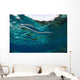 Banded Sea Snake Laticauda Wall Decal Design 1
