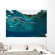 Banded Sea Snake Laticauda Wall Decal Design 1