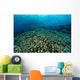School Fish above Beautiful Wall Decal