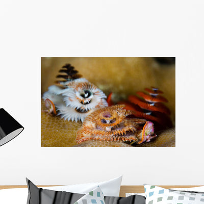 Christmas Tree Worms Grow Wall Decal shown on a wall