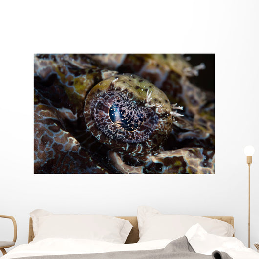 Eye Crocodilefish Wakatobi National Wall Decal