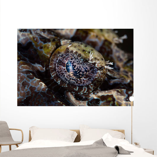 Eye Crocodilefish Wakatobi National Wall Decal