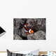Clownfish Swims among Tentacles Wall Decal Design 2