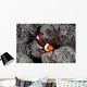 Clownfish Swims among Tentacles Wall Decal Design 2