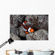 Clownfish Swims among Tentacles Wall Decal Design 2