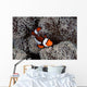 Clownfish Swims among Tentacles Wall Decal Design 2