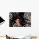 Clownfish Swims among Tentacles Wall Decal Design 1