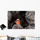 Clownfish Swims among Tentacles Wall Decal Design 1