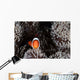 Clownfish Swims among Tentacles Wall Decal Design 1