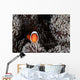 Clownfish Swims among Tentacles Wall Decal Design 1