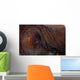 Detail Eye Octopus  Wall Decal Design 2