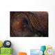 Detail Eye Octopus  Wall Decal Design 2