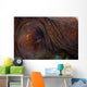 Detail Eye Octopus  Wall Decal Design 2