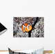 False Anemonefish Amphiprion Ocellaris Wall Decal