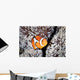 False Anemonefish Amphiprion Ocellaris Wall Decal