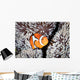 False Anemonefish Amphiprion Ocellaris Wall Decal