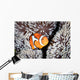False Anemonefish Amphiprion Ocellaris Wall Decal