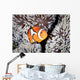 False Anemonefish Amphiprion Ocellaris Wall Decal