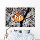 False Anemonefish Amphiprion Ocellaris Wall Decal