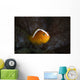 Orange Anemonefish Amphiprion Sandaracinos Wall Decal