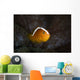 Orange Anemonefish Amphiprion Sandaracinos Wall Decal