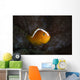 Orange Anemonefish Amphiprion Sandaracinos Wall Decal