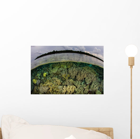 Shallow Coral Reef Thrives Wall Decal Design 4