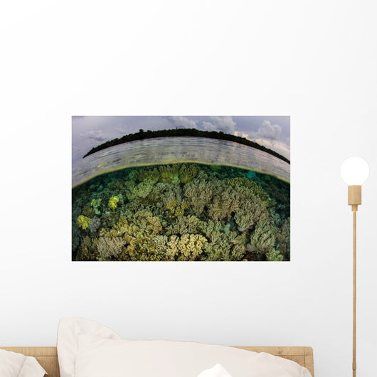 Shallow Coral Reef Thrives Wall Decal Design 4