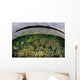 Shallow Coral Reef Thrives Wall Decal Design 4
