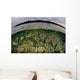 Shallow Coral Reef Thrives Wall Decal Design 4