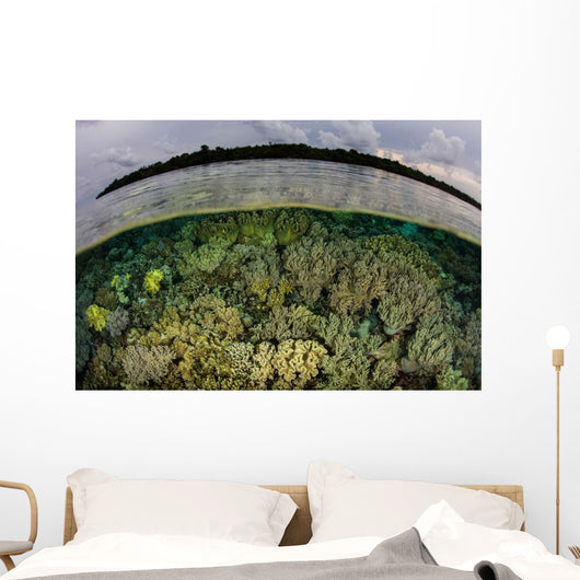 Shallow Coral Reef Thrives Wall Decal Design 4