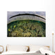 Shallow Coral Reef Thrives Wall Decal Design 4