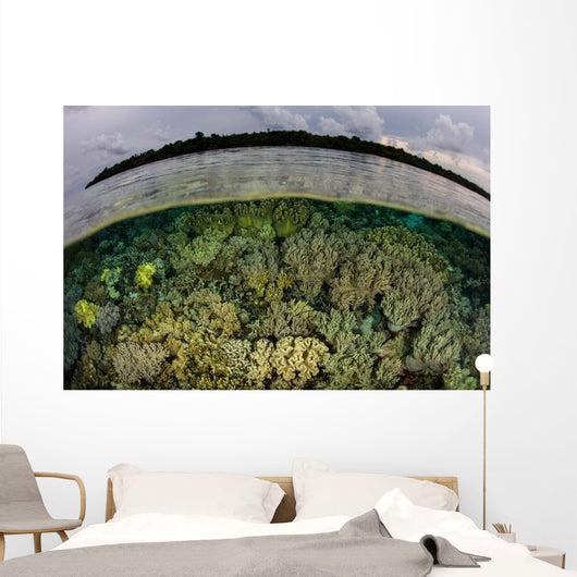 Shallow Coral Reef Thrives Wall Decal Design 4