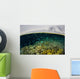 Shallow Coral Reef Thrives Wall Decal Design 3