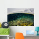 Shallow Coral Reef Thrives Wall Decal Design 3