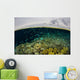 Shallow Coral Reef Thrives Wall Decal Design 3