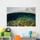 Shallow Coral Reef Thrives Wall Decal Design 3