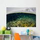 Shallow Coral Reef Thrives Wall Decal Design 3