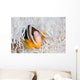 Clark's Anemonefish Swims among Wall Decal