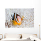 Clark's Anemonefish Swims among Wall Decal